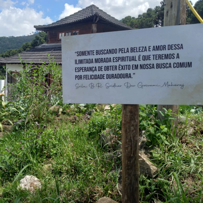 Caminho entre a mata no Seva Ashram
